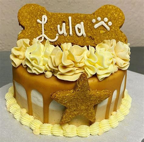 Buy Dog Bone Cake Online | Yummycake