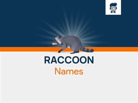 Raccoon Names: 600+ Catchy and Cool names