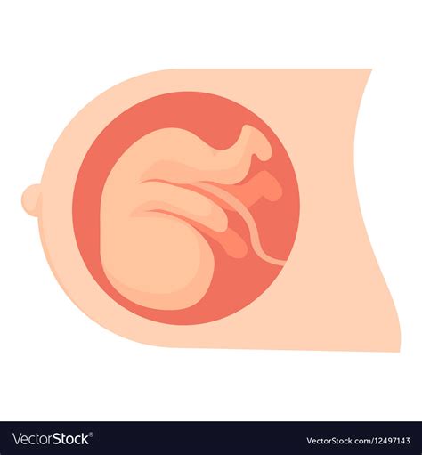 Baby in womb icon cartoon style Royalty Free Vector Image