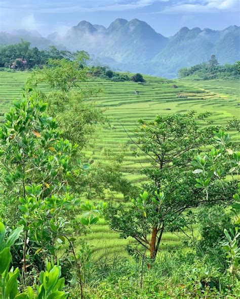 20 Vietnam Forests, Mountains & Nature Attractions For Thrilling Getaways