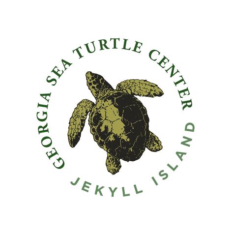 Georgia Sea Turtle Center - Other - Jekyll Island - Jekyll Island