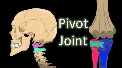 Pivot Joint Neck