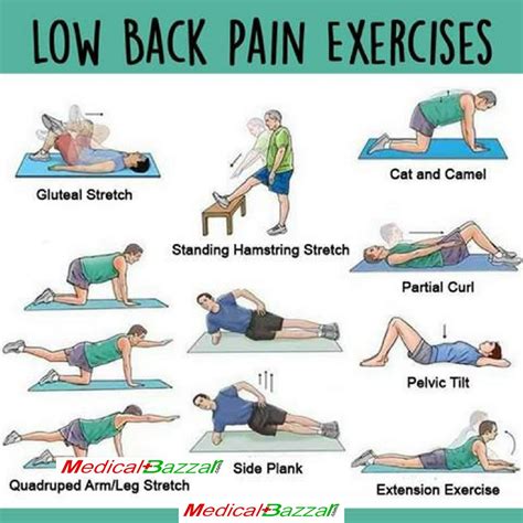 Physio Exercises For Back Pain – Online degrees