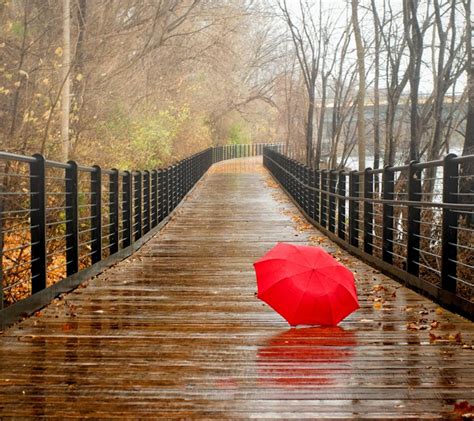 Rainy Day Wallpapers - Top Free Rainy Day Backgrounds - WallpaperAccess