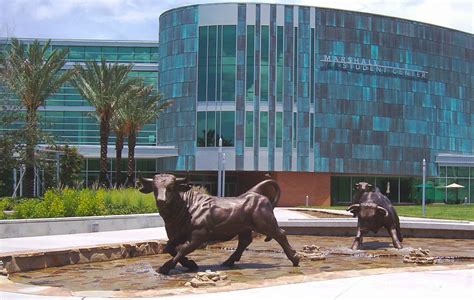 USF Tampa joins the big leagues – The Crow's Nest