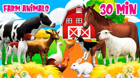 Farm animal sounds Farm animals for kids Learn Farm animals - YouTube