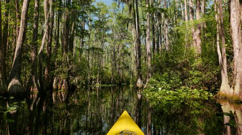 Stephen C. Foster State Park in the Okefenokee Swamp GA [OC][4480x2520 ...