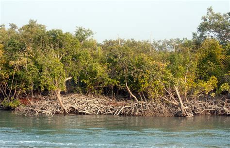 Ganges River | History, Map, Location, Pollution, & Facts | Britannica