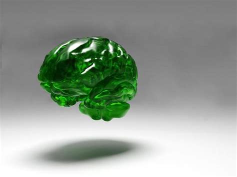 Green Brain Stock Photos, Images and Backgrounds for Free Download