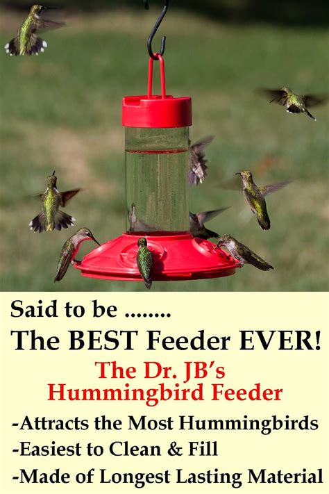 Dr JBs Red Hummingbird Feeder. | Humming bird feeders, Red hummingbird ...