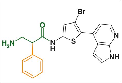 Beta2-Amino Acids: Synthesis Approaches & Compounds - ChiroBlock ...