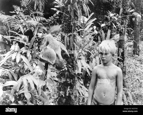 LORD OF THE FLIES, 1963 Stock Photo - Alamy