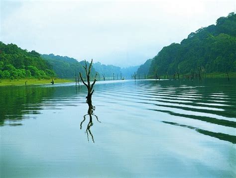 Thekkady - Kerala Image (20703769) - Fanpop