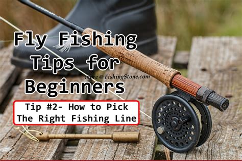 Fly Fishing Tips for Beginners to Catch the Big Fish