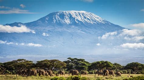 Interesting facts about Mount Kilimanjaro – Discover Africa