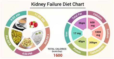 Renal Nutrition Course In India | Besto Blog