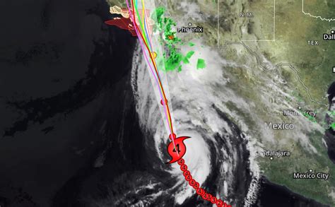 Hurricane Hilary: Damage in SoCal expected to include downed trees ...