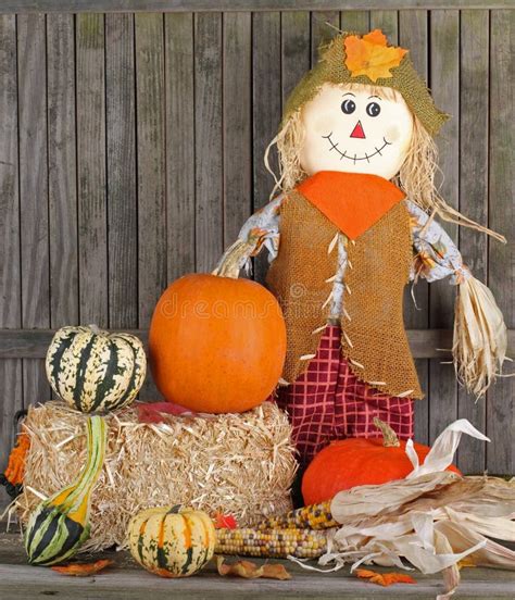 Fall Harvest stock photo. Image of fall, wooden, autumn - 21417370