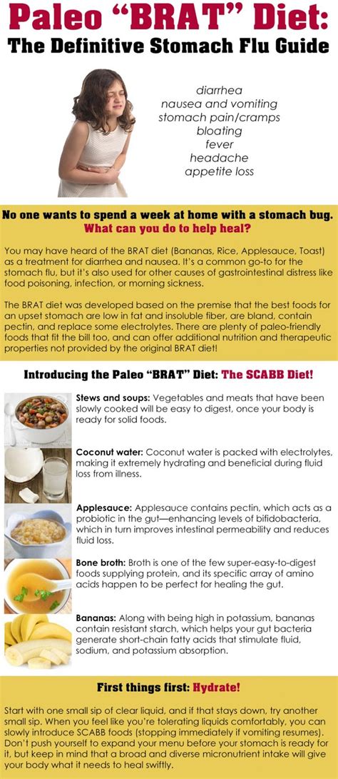 Paleo “BRAT” Diet: The Definitive Stomach Flu Guide | Brat diet, Flu ...