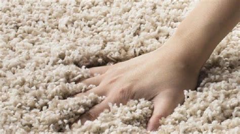 Frieze Carpet | Twist Carpeting in Atlanta