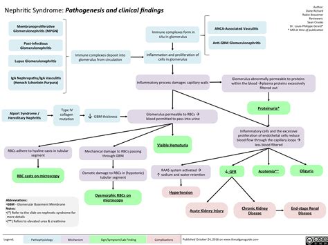 Nephritic Syndrome: Pathogenesis and clinical findings | Calgary Guide