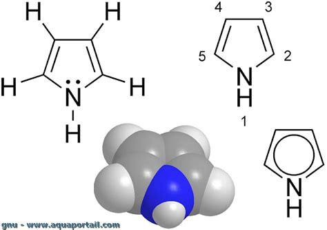 Pyrrole : définition et explications