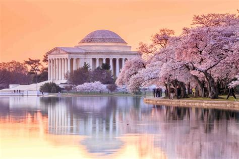 【2024 National Cherry Blossom Festival】Washington, DC 1-Day Tour ...