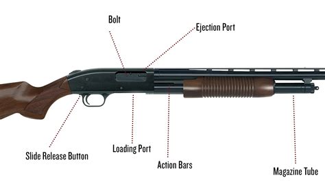 Parts of a Shotgun: A Complete Guide | Field & Stream