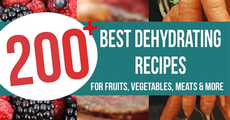 200 Best Dehydrating Recipes for Fruits and Vegetables - The Purposeful ...