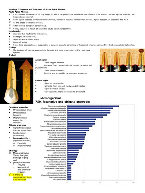 Histology: Diagnosis and Treatment of Acute Apical Abscess | PDF ...