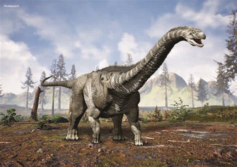 What was the largest dinosaurs? | Geology Page