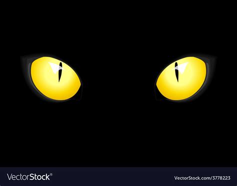 Cat Eyes Royalty Free Vector Image - VectorStock