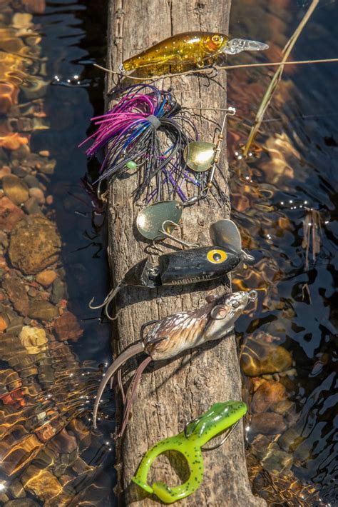 Bass Essentials: Catching bass on lures - Fishing World Australia