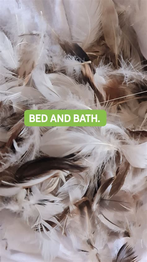 FEATHER PILLOWS – Bed and Bath