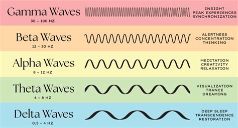 Understanding Brain Waves: Beta, Alpha, Theta, Delta + Gamma