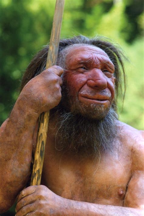 What Did They Eat: The Neanderthals? | by A Renaissance Writer ...