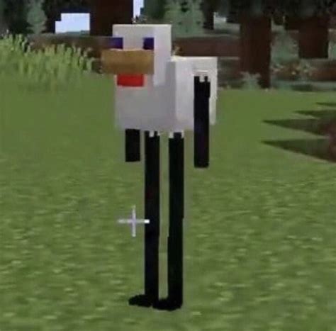 Minecraft Meme Dog Skin