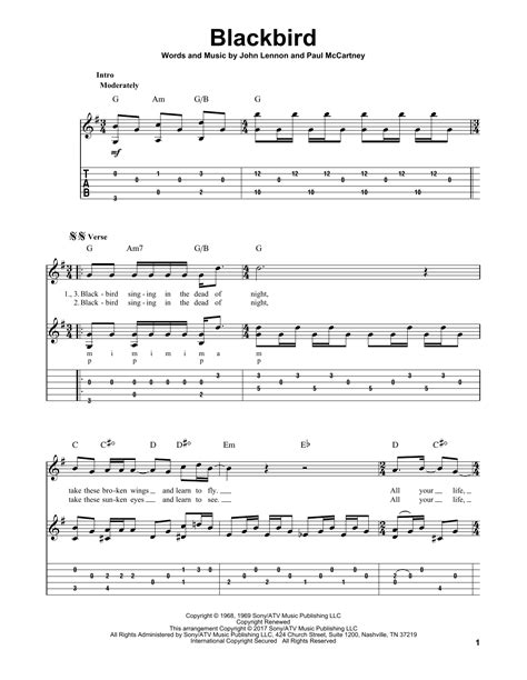 Blackbird by The Beatles - Solo Guitar - Guitar Instructor