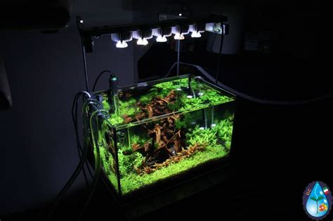 My diy Led light | Led lighting diy, Led diy, Diy aquarium