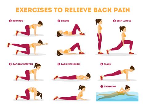 Exercises to Relieve Lower Back Pain | Physical & Sports Rehab