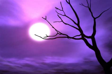 Cool Purple Backgrounds - Wallpaper Cave