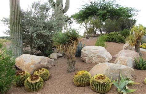 5 Kinds of Rocks Used for Desert Landscaping - Organize With Sandy