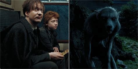 Harry Potter: How Did Remus Lupin Become A Werewolf?