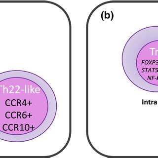 Diversity of Treg cells and their subpopulations. (a) shows Treg cells ...