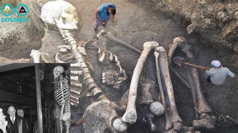 Discovery Of Bizarre Giant Skeletons In Ancient British Era | Giant ...