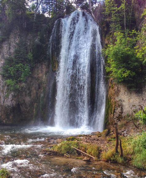 Spearfish Canyon in South Dakota | South dakota vacation, Spearfish ...