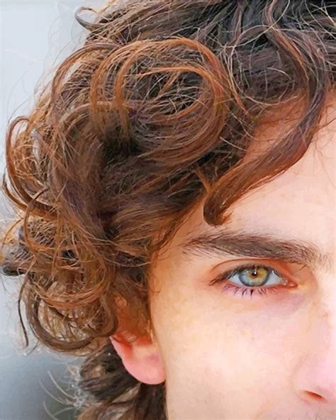 Timothee Chalamet Eye - Actors Paint By Numbers - Num Paint Kit