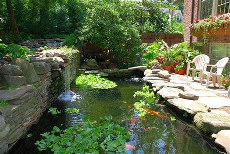 the koi pond What size koi pond should i design for my yard? - koifishing