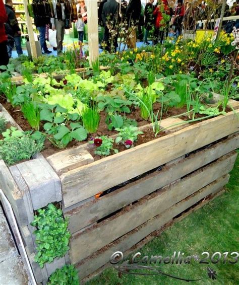 Pallet Raised Garden Bed - RobertDobbins