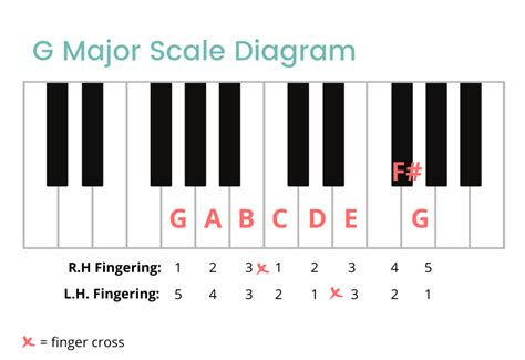 G Major Scale On The Piano - Notes, Fingerings & More